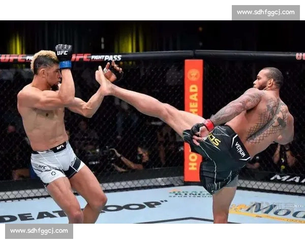 UFC毁灭者对决桑托斯终极之战力量与意志巅峰碰撞 UFC毁灭者对决桑托斯终极之战力量与意志巅峰碰撞